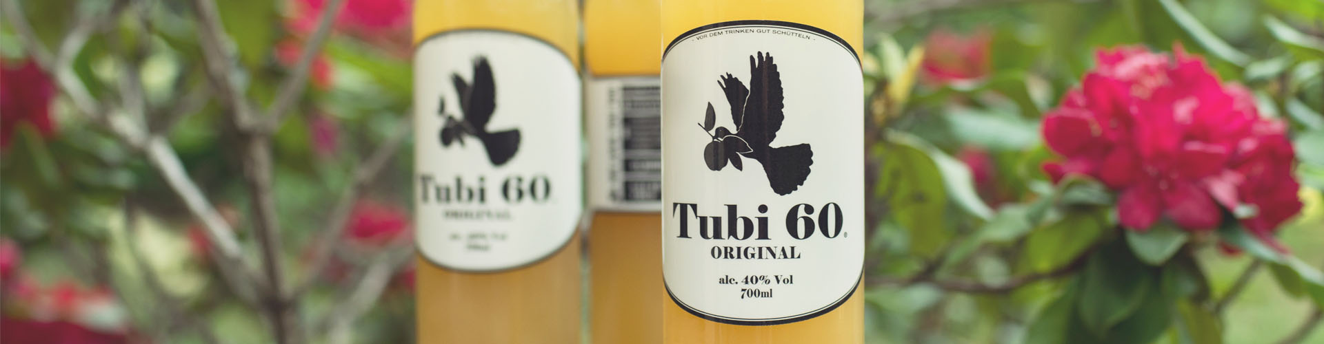 Tubi_what_is 2019_004 Tubi 60 - Winter Homepage